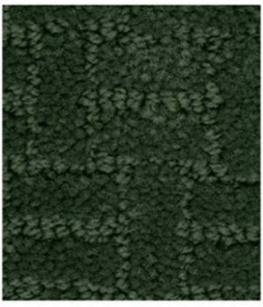 Picture of 4' x 6' Textured Carpet in Hunter Green