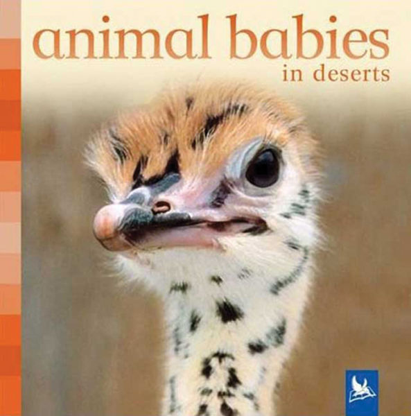 Picture of Animal Babies Board Book Set 