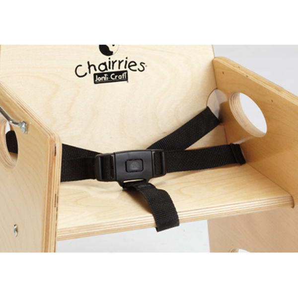 Picture of Chairries Seat Belt