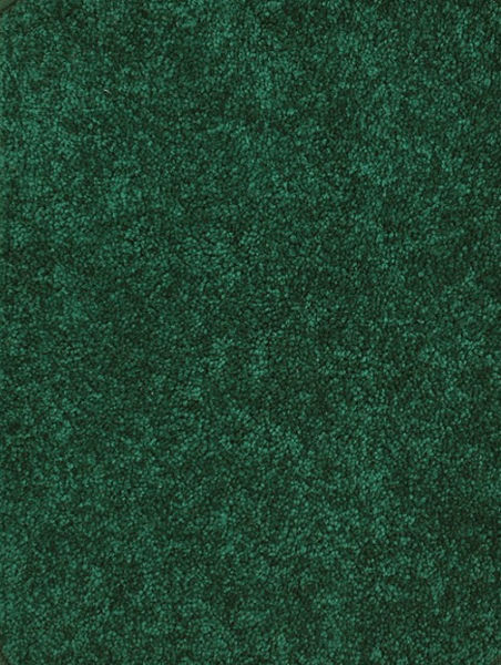 Picture of Endurance 12' x 6' Solid Forest Carpet