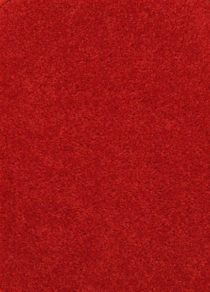 Picture of Endurance 12' x 6' Solid Red Carpet