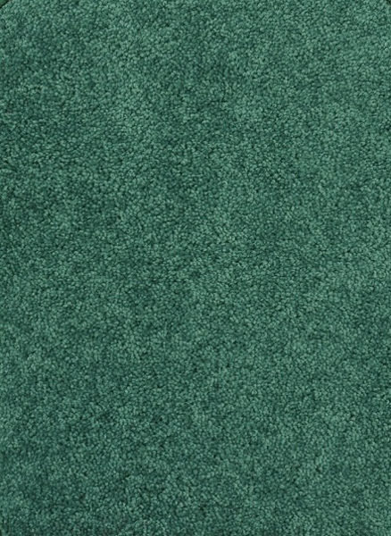 Picture of Endurance 12' x 8' Solid Mint Carpet