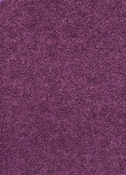 Picture of Endurance 12' x 8' Solid Purple Carpet