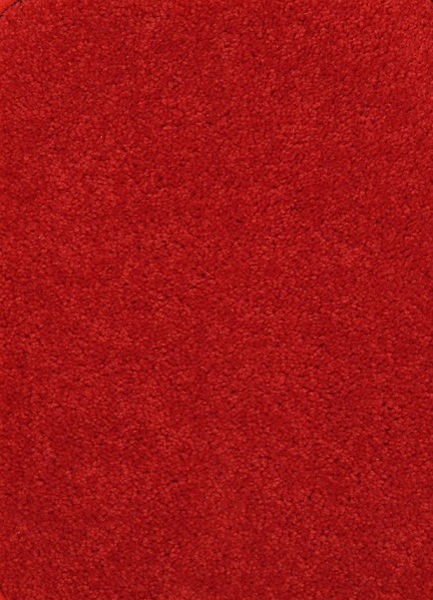 Picture of Endurance 12' x 8' Solid Red Carpet