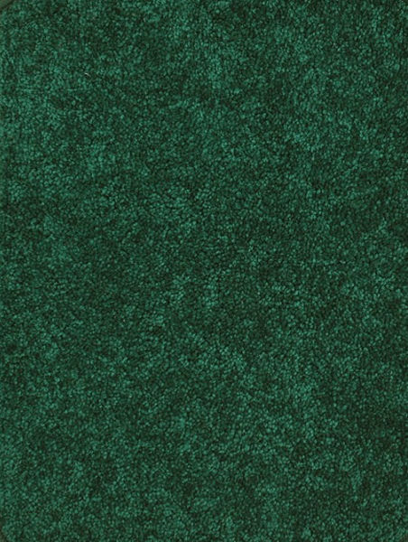 Picture of Endurance 6' x 9' Solid Forest Carpet