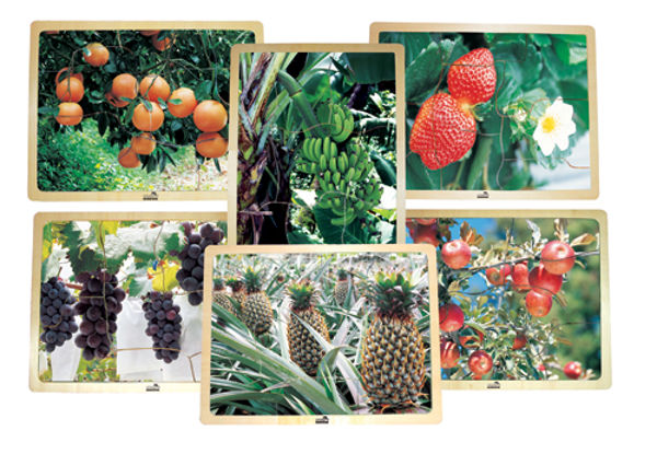 Picture of Growing Up Green! Healthy Eating Fruit Puzzles