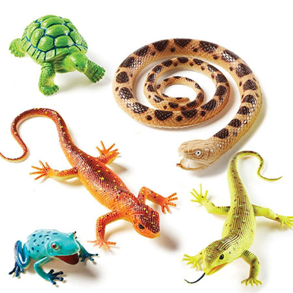 Picture of Reptiles Large 