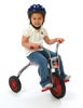 Picture of Silver Rider 12" Trike