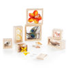 Picture of Treasure Discovery Block -Clear set of 8