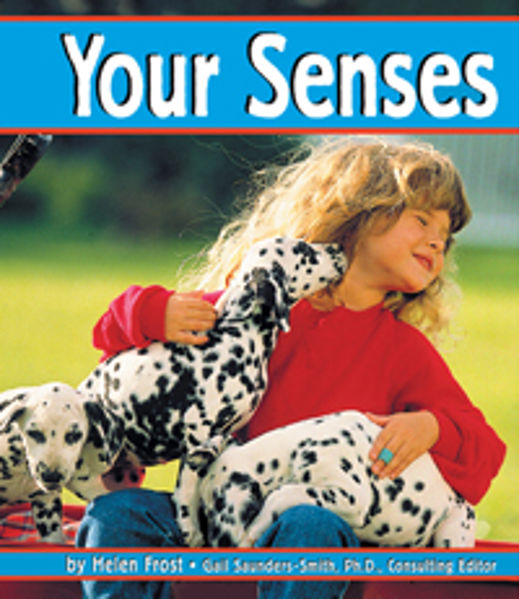 Picture of The Senses - Your Senses