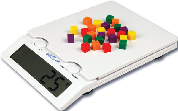 Picture of DIGITAL SCALE