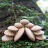 Picture of Wooden Stackers River Stones