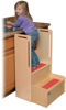Picture of DC CF Handy Steps with rails