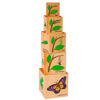 Picture of Lifecycle Wooden Block stackers, set of 5.  Nesting