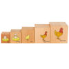 Picture of Lifecycle Wooden Block stackers, set of 5.  Nesting