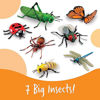 Picture of Jumbo Insects Set of 7