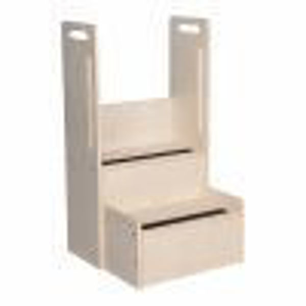 Picture of Handy Steps with rails
