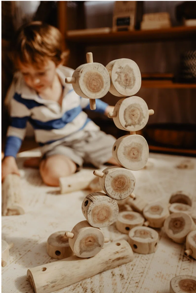 Picture of Trees Construction Set